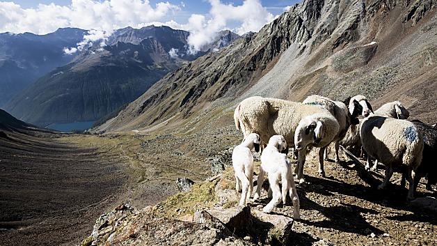 oetzi glacier tour